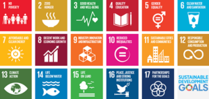 Sustainable Development Goals (SDGs) in Africa